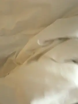 HenryLee1983-cums online show from November 28, 12:44 am