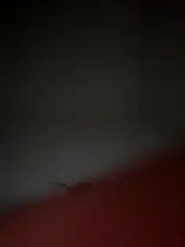 Snapshot of lekkerepik1111 chatting on November 10, 5:23 am lekkerepik1111 online show from November 10, 5:23 am