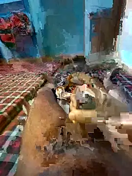 jerry 03467 online show from October 31, 6:04 pm