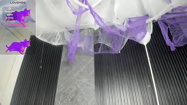 cloemorningstar online show from October 31, 2:46 pm