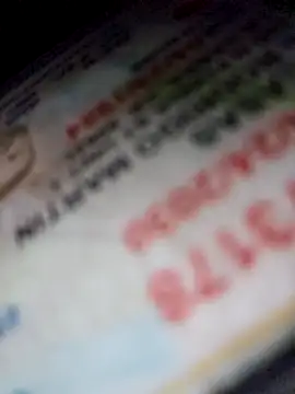 Roddog18 online show from April 18, 8:20 pm