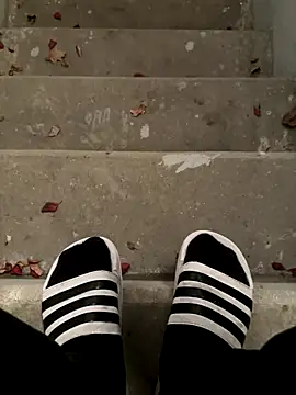 max22palm online show from November 6, 10:03 pm