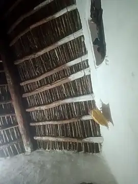 LOVE-VIKA online show from February 23, 1:12 pm