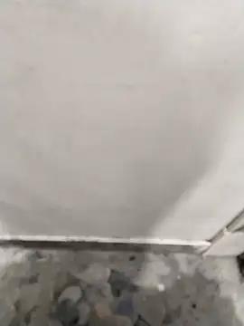 bunty-babli online show from November 12, 4:05 am