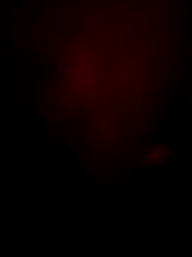 bunty-babli online show from November 13, 5:11 am