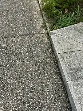 nanaisbackk online show from February 16, 2:37 pm