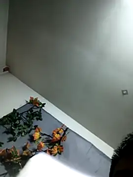 zghn88 online show from November 22, 10:14 am