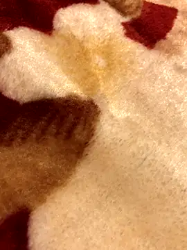 Lamarocainee online show from October 5, 9:16 pm