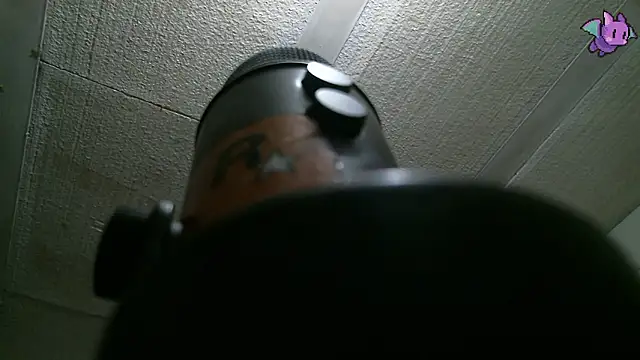 Dickie Dicking online show from February 11, 10:09 pm