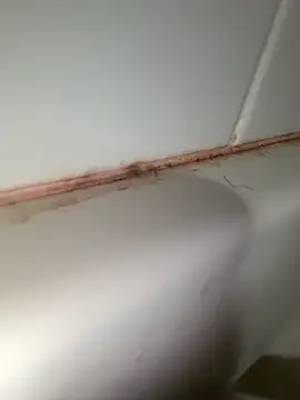 StroknGoon69 online show from November 4, 11:52 pm