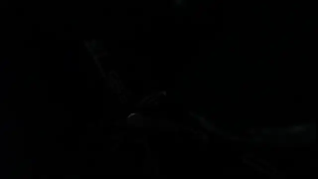 SteveDickson  online show from October 14, 9:15 pm