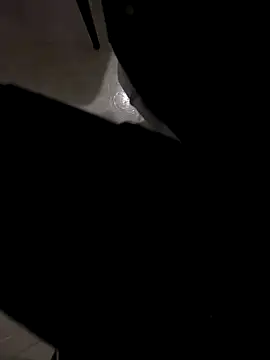 Snapshot of jeff2995_ chatting on December 4, 4:55 am jeff2995 online show from December 4, 4:55 am