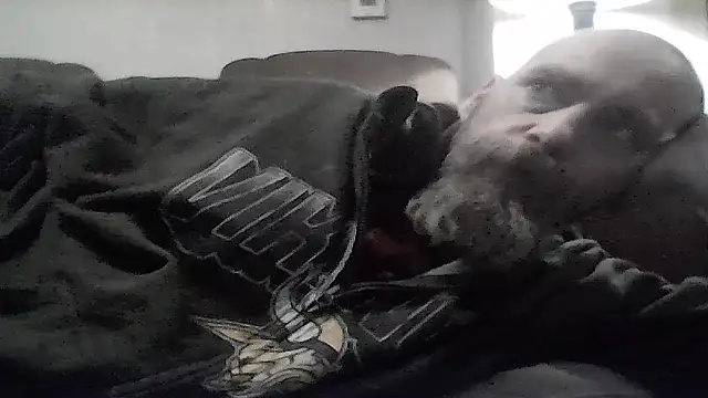 crazyheratic8 online show from January 17, 1:31 am