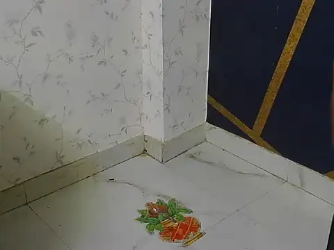 Snapshot of shiny-krisha chatting on November 2, 4:06 am shiny-krisha online show from November 2, 4:06 am