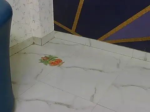 Snapshot of shiny-krisha chatting on November 13, 4:49 am shiny-krisha online show from November 13, 4:49 am