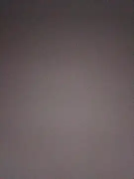 JNTre online show from February 28, 2:22 am