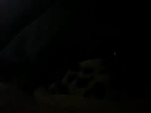 pleasedontpressaredburton online show from February 7, 3:03 am