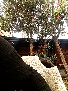 Jade 1-9 online show from October 30, 5:43 pm