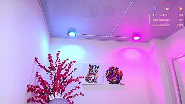 Summer miller online show from November 8, 11:36 am