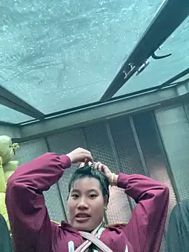 sukanaka99 online show from February 11, 2:44 am