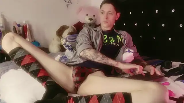 Tyler cat online show from April 14, 8:19 am