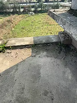 dachui 168 online show from February 5, 3:24 am