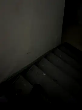 ayrtonmen online show from November 14, 2:43 pm