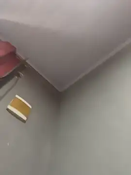 Priihmedeiros online show from December 20, 11:13 am