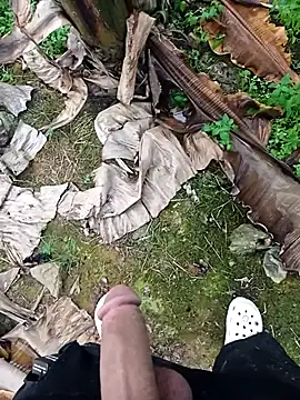 Snapshot of Sikici0734 chatting on November 11, 2:01 pm Sikici0734 online show from November 11, 2:01 pm