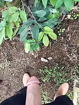 Sikici0734 online show from February 26, 8:25 am