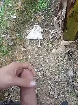 Sikici0734 online show from January 11, 9:16 am