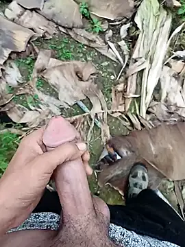 Snapshot of Sikici0734 chatting on November 13, 9:24 am Sikici0734 online show from November 13, 9:24 am