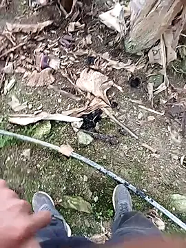 Snapshot of Sikici0734 chatting on November 19, 9:20 am Sikici0734 online show from November 19, 9:20 am