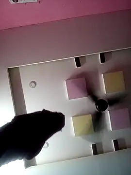 supcpl online show from February 1, 6:06 pm