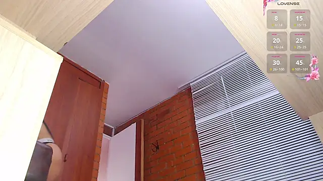 Snapshot of Salome-sw chatting on November 11, 8:47 pm Salome-sw online show from November 11, 8:47 pm