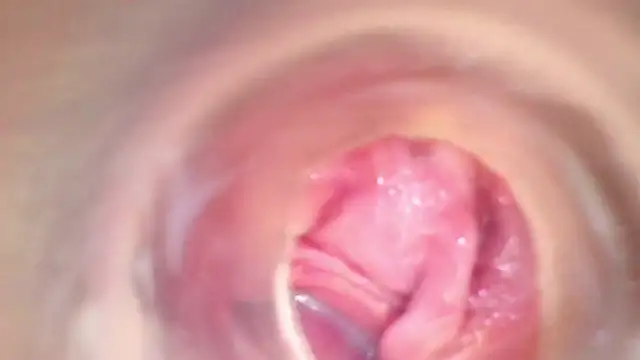 shannon kinne  online show from November 22, 8:29 pm