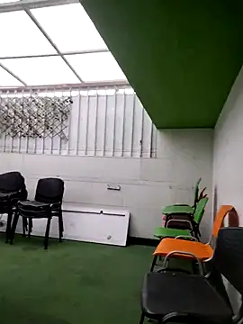 shannon kinne  online show from November 14, 2:10 pm