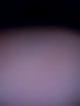 shannon kinne  online show from November 4, 10:30 am