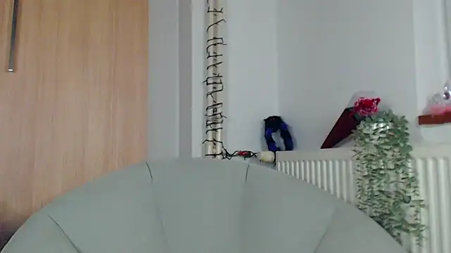 adacgrey online show from February 15, 6:51 pm