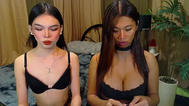 TWINKTRANSSHANEL online show from October 12, 4:36 am