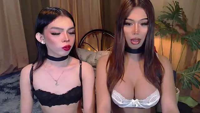 TWINKTRANSSHANEL online show from October 6, 4:24 am