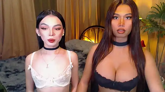 TWINKTRANSSHANEL online show from October 8, 4:25 am