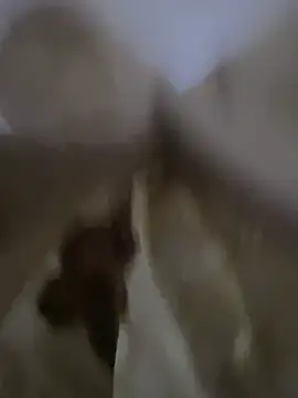 Moro-89 online show from April 5, 6:20 am