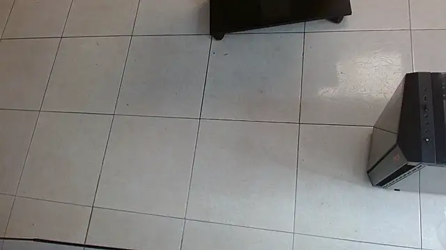 rosse m online show from November 21, 1:10 pm