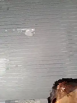 Snapshot of lady_and_charly chatting on November 2, 8:14 pm lady and charly online show from November 2, 8:14 pm