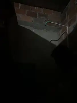 lady and charly online show from February 7, 11:24 pm