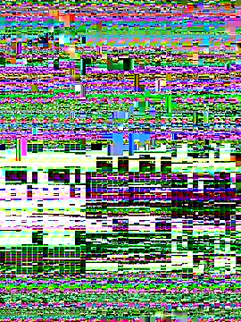 Rose monroee online show from November 13, 7:40 pm