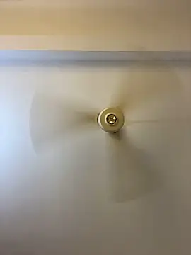 Nhefertary online show from March 4, 2:19 am