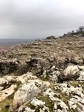 Snapshot of Sert_erkek21_ysm chatting on February 2, 10:03 am Sert erkek21 ysm online show from February 2, 10:03 am