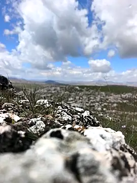 Sert erkek21 ysm online show from March 31, 9:22 am